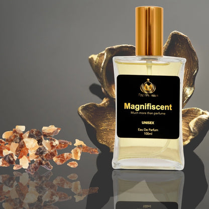 Europa Magnifiscent 100ml Perfume Spray For Men And Women