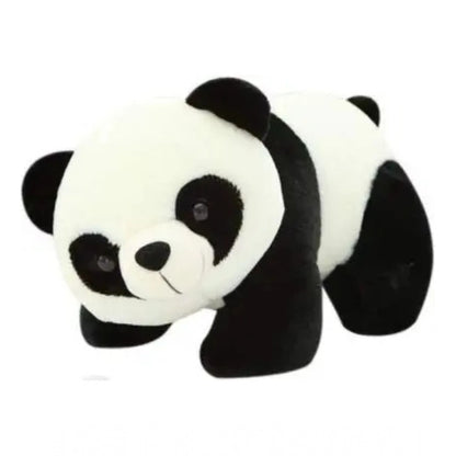 Panda (Black )